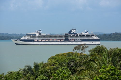 CELEBRITY INFINITY